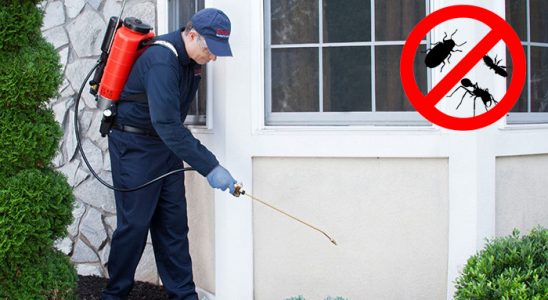 Kaş Böcek İlaçlama böcek ilaçlama ve haşere kontrolü — ilaclama-tr.com
